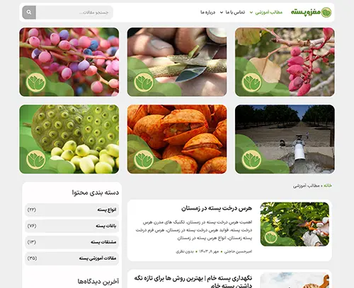 برگه مقالات سایت مغز و پسته