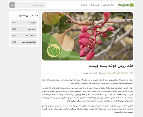 برگه مقاله سایت مغز و پسته